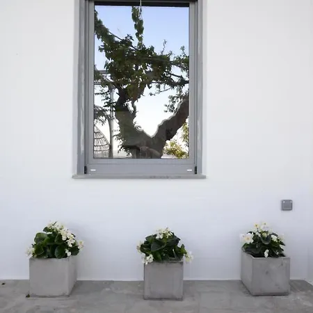 Despoina アパート