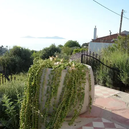 Despoina パティティリ