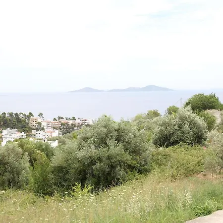 Apartment Despoina Patitiri (Alonnisos)