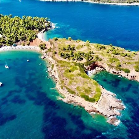 Despoina * パティティリ